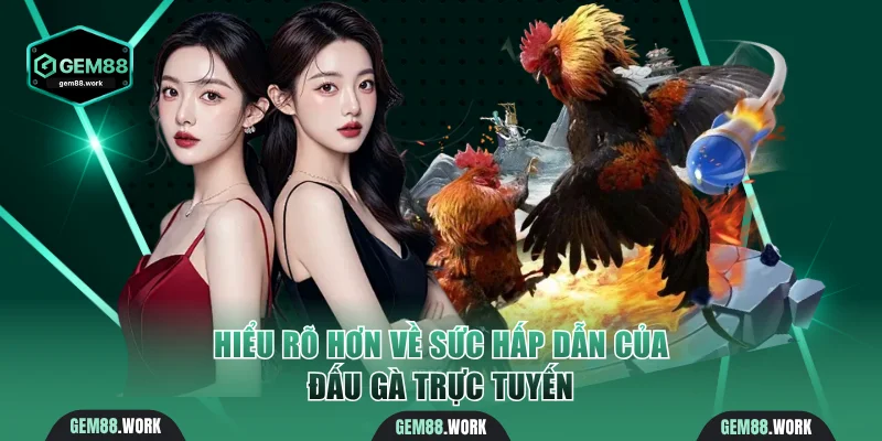 Hiểu rõ hơn về sức hấp dẫn của đấu gà trực tuyến