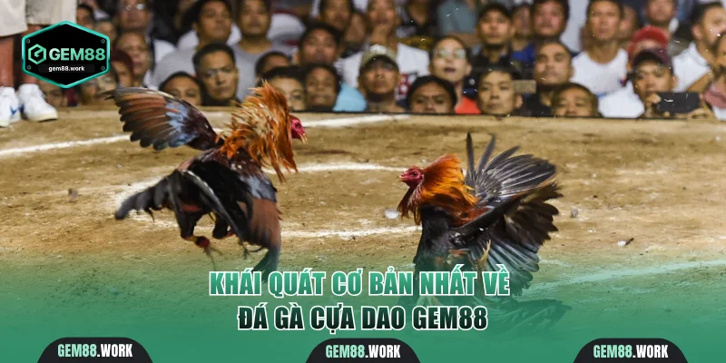 Khái quát cơ bản nhất về đá gà cựa dao Gem88