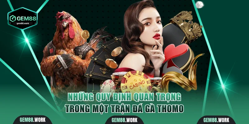 Những quy định quan trọng trong một trận đá gà Thomo